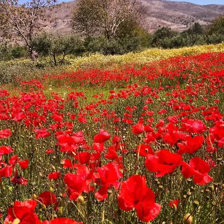 Tilos Island House בית נופש Megálon Choríon