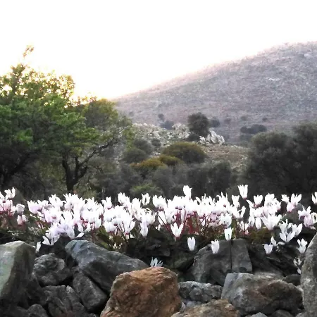 Tilos Island House Ferienhaus Megálon Choríon