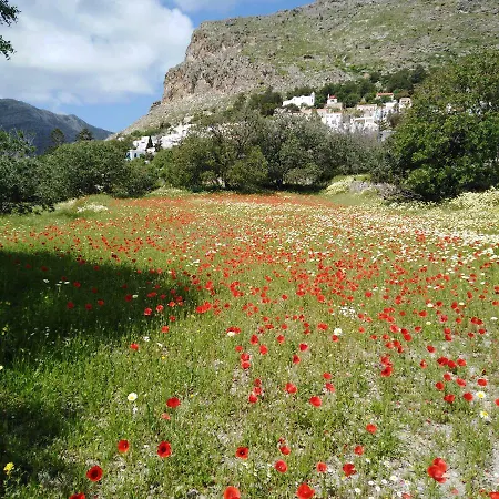 Tilos Island House בית נופש *