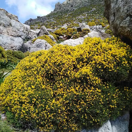 بيت للعطل Tilos Island House Megálon Choríon