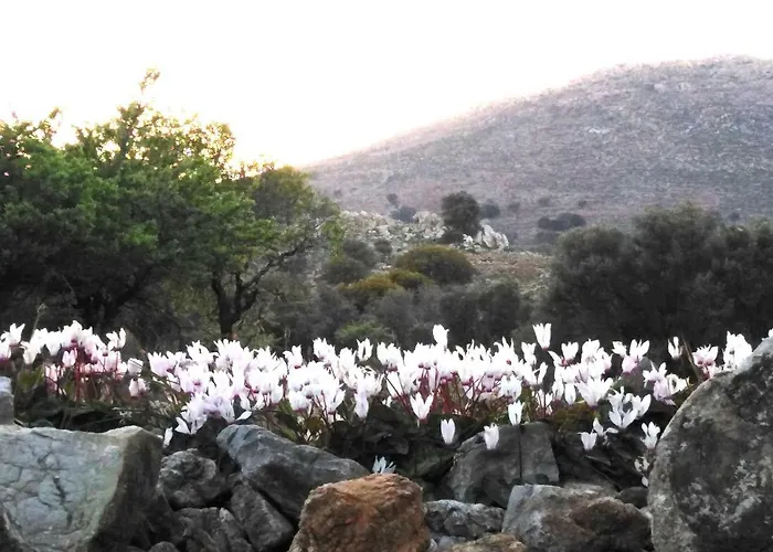 Tilos Island House 度假居 Megálon Choríon