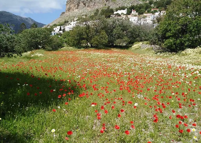 Tilos Island House Tatil Evi *