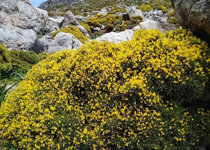 度假居 Tilos Island House Megálon Choríon